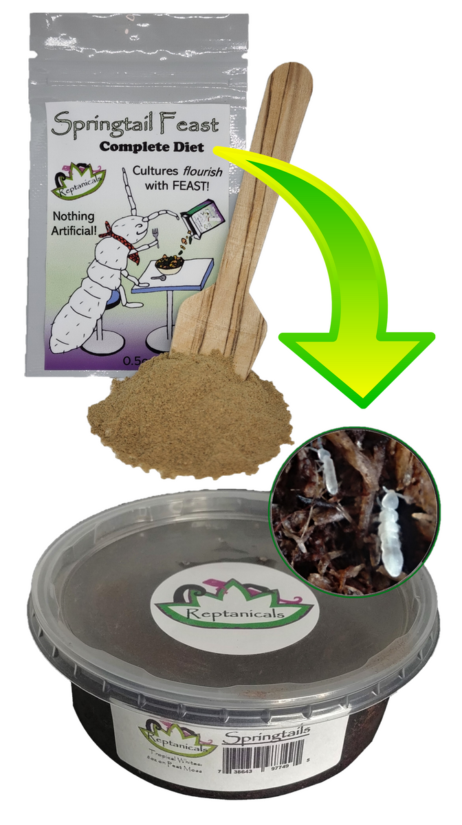 8oz Tropical White Springtail Culture with food : Peat or Charcoal ...