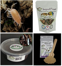 Load image into Gallery viewer, Complete starter bio-active kit for beginners with powder orange isopods, springtails, and food free shipping gift idea for reptile lovers
