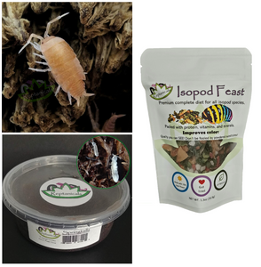 Powder Orange Isopods  with food and springtails for Sale Reptanicals