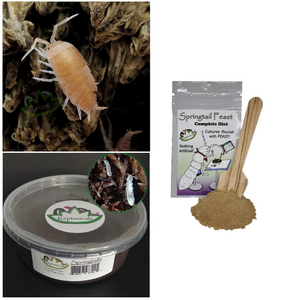 Powder orange isopods for Sale free shipping Reptanicals with Springtails and springtail food