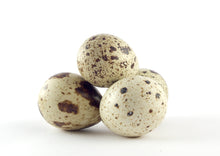 Load image into Gallery viewer, Organic fertile Quail eggs Reptanicals 

