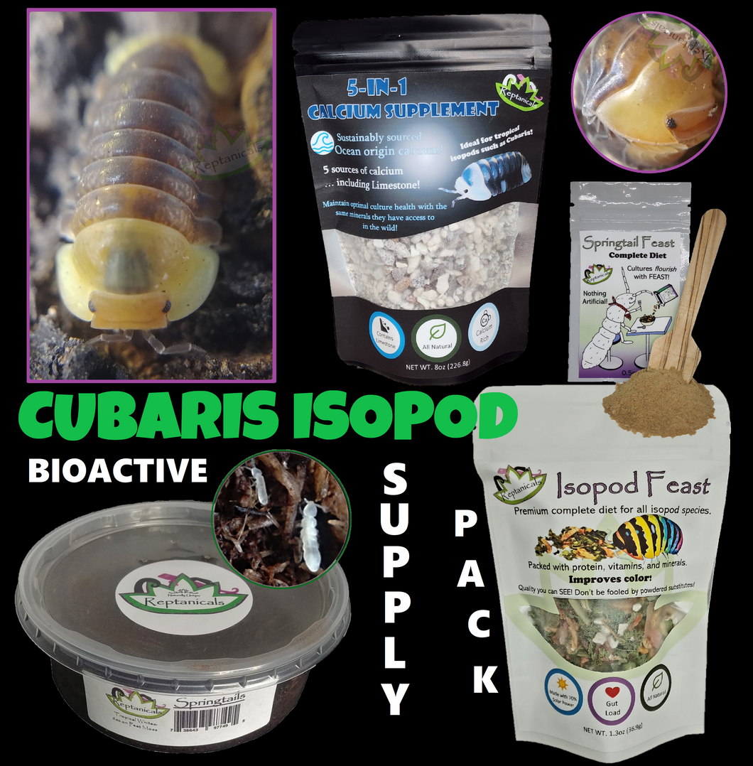 Reptanicals Cubaris Isopod Biosctive Supply Pack