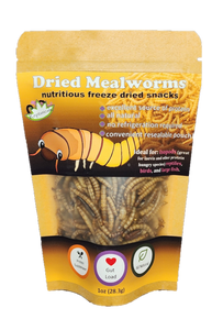 Dried Mealworms for sale Isopod snacks by Reptanicals