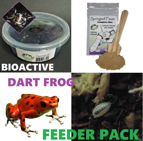 Reptanicals Dart Frog Feeder Pack