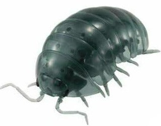 Translucent green isopod from Bandai Dangomushi 06 for sale