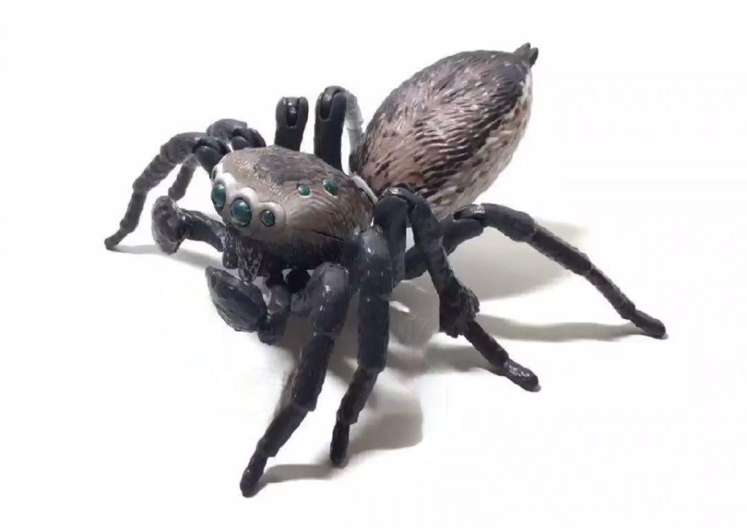 Maratus volans (female) : Peacock Spider Figure (by Bandai