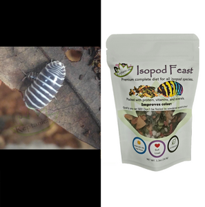 Zebra Isopods and Isopod Feast for Sale Reptanicals.com