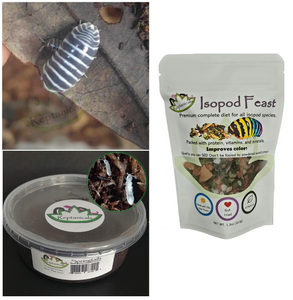 Zebra Isopods and tropical white springtails with Isopod Feast for Sale Reptanicals.com