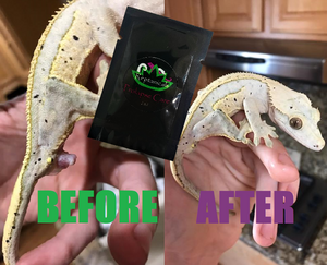 before and after reptanicals prolapse care